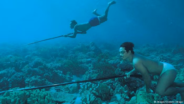 Bộ tộc Bajau có thể lặn rất sâu mà không cần dùng bất cứ thiết bị hỗ trợ nào ngoài một bộ quả cân và cặp kính bảo hộ.