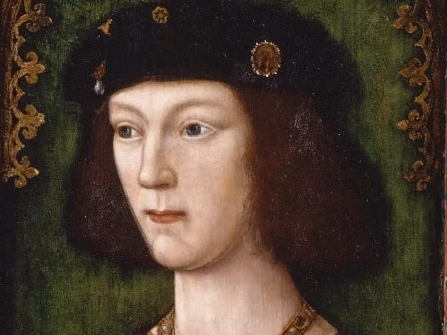 Được biết đến là hoàng đế đa tình, vua Henry VIII có khá nhiều nhân tình. Thậm chí, có nhân tình còn sinh con cho ông hoàng này.