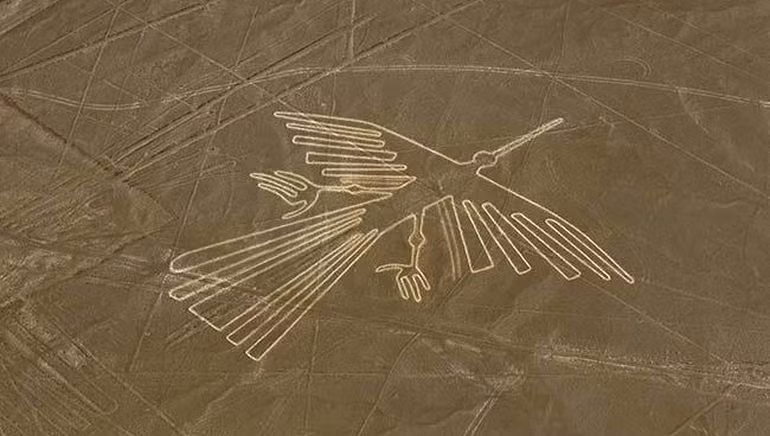 Có đường kẻ Nazca nhìn từ xa trông giống như một đường băng hay hình động vật khổng lồ được khắc họa trên mặt đất.