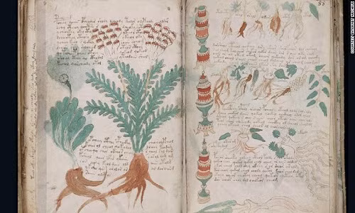 Sỡ dĩ bản thảo Voynich là cuốn sách bí ẩn vì nội dung trong tài liệu được viết bằng loại ngôn ngữ rất khó hiểu, chứa rất nhiều hình vẽ vật thể như cây cối, thiết bị thí nghiệm cổ xưa, ký hiệu chiêm tinh liên quan đến nhiều lĩnh vực giống như y khoa, sinh học, hóa học, vũ trụ…