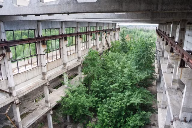 Các bức tường, hàng rào sắt trong nhà máy ở Voronezh bị rỉ sét sau khi không còn hoạt động.