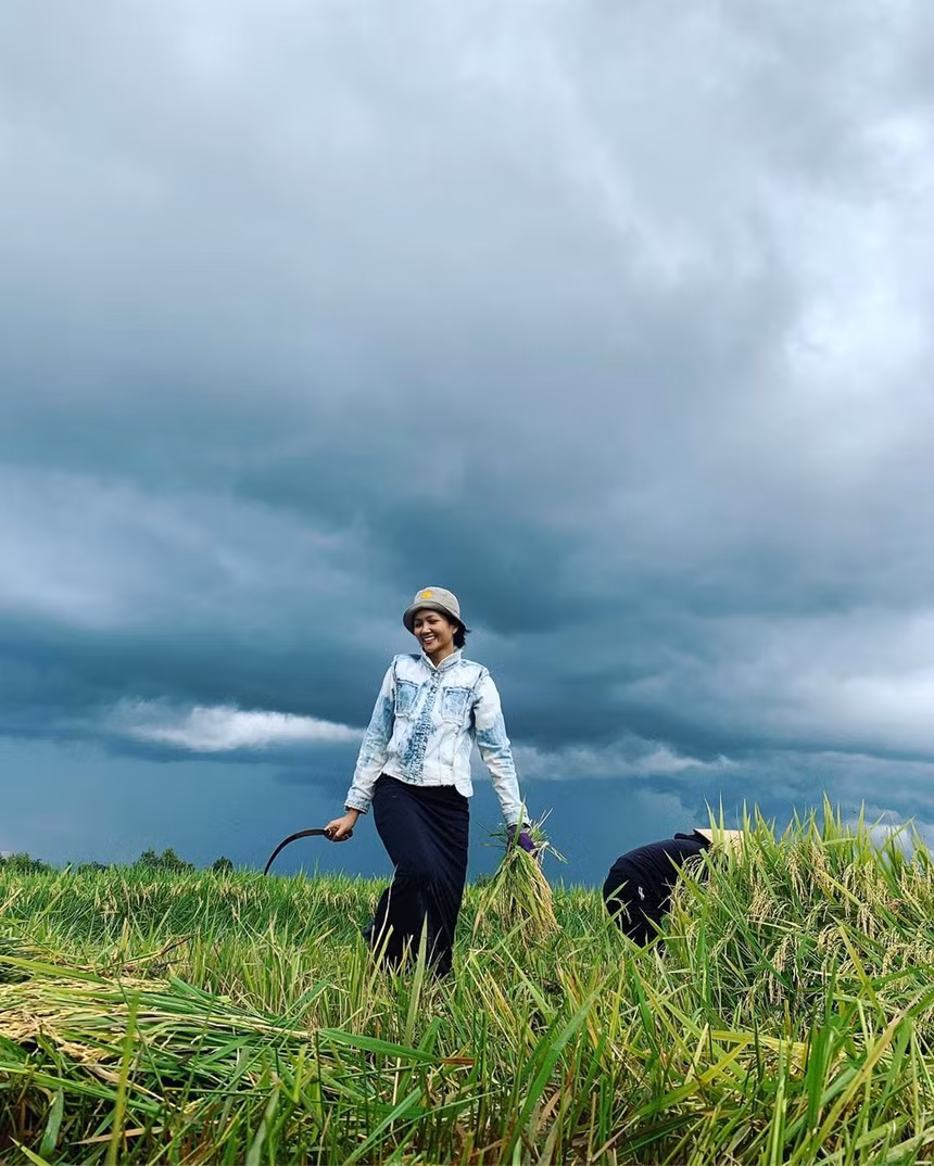 Thế nhưng, H'hen Niê cũng có những khoảnh khắc giản dị đến không ngờ. Cô đi dép tông, không ngại ra đồng gặt lúa, nhặt rau.... Tất cả những điều đó đã khiến H'hen Niê càng trở nên đặc biệt trong rừng mỹ nhân của showbiz.