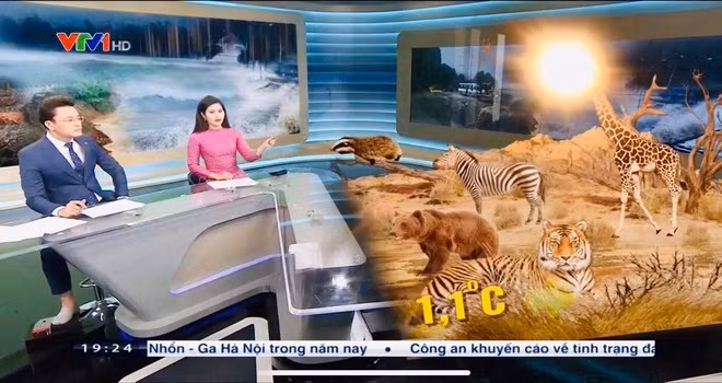 BTV Huu Bang di chan dat khi dan chuong trinh thoi su VTV