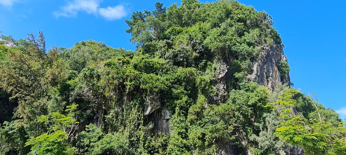 Nơi đây có cảnh quan hùng vĩ với những ngọn núi đá cây xanh phủ kín.