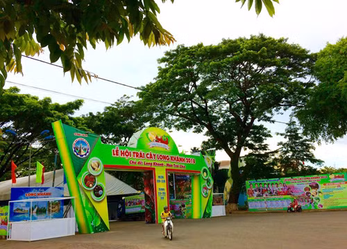 “Nu quai” thua ca do World Cup, den hoi cho trai cay…giat day chuyen