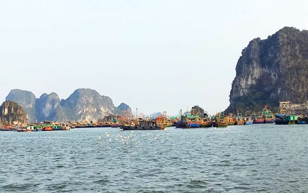 Bão số 1 cận kề, khách du lịch Quảng Ninh cần chú ý điều này Bao so 1 can ke, khach du lich Quang Ninh can chu y dieu nay