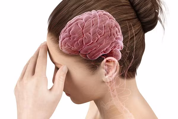 Theo bác sĩ Trương Thục Linh - Chủ Nhiệm Khoa Thần kinh của Bệnh viện Nhân dân Trịnh Châu, nhồi máu não còn được gọi là đột quỵ do thiếu máu cục bộ, do hoại tử thiếu máu cục bộ não hạn chế hoặc mô não bị mềm do suy giảm cung cấp máu cho não, thiếu máu cục bộ và thiếu oxy.