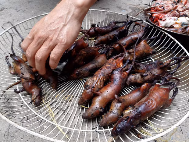 Nếu làm món xào hay gác bếp thì cầu thì thêm một chút. Nhưng dù chế biến thế nào, thịt chuột vẫn giữ được vị ngọt và đậm đà hơn do các loại gia vị tẩm ướp.