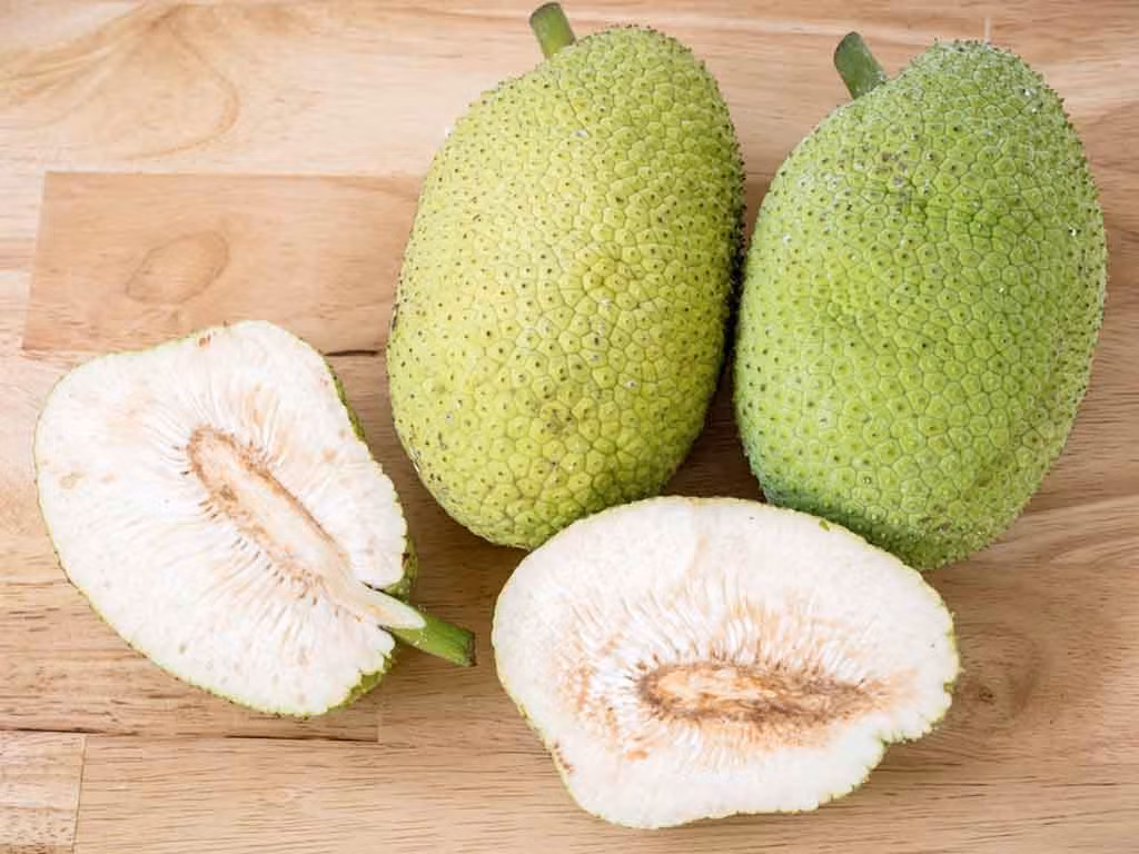 Thêm vào đó lượng lớn vitamin C trong sake giúp thúc đẩy sản xuất collagen, mang lại độ đàn hồi cho da, giúp da săn chắc. Chiết xuất trái sake tươi ức chế hoạt động của các enzym gây viêm và ngăn cản sản xuất quá nhiều oxit nitric, từ đó ngăn ngừa tình trạng viêm da.