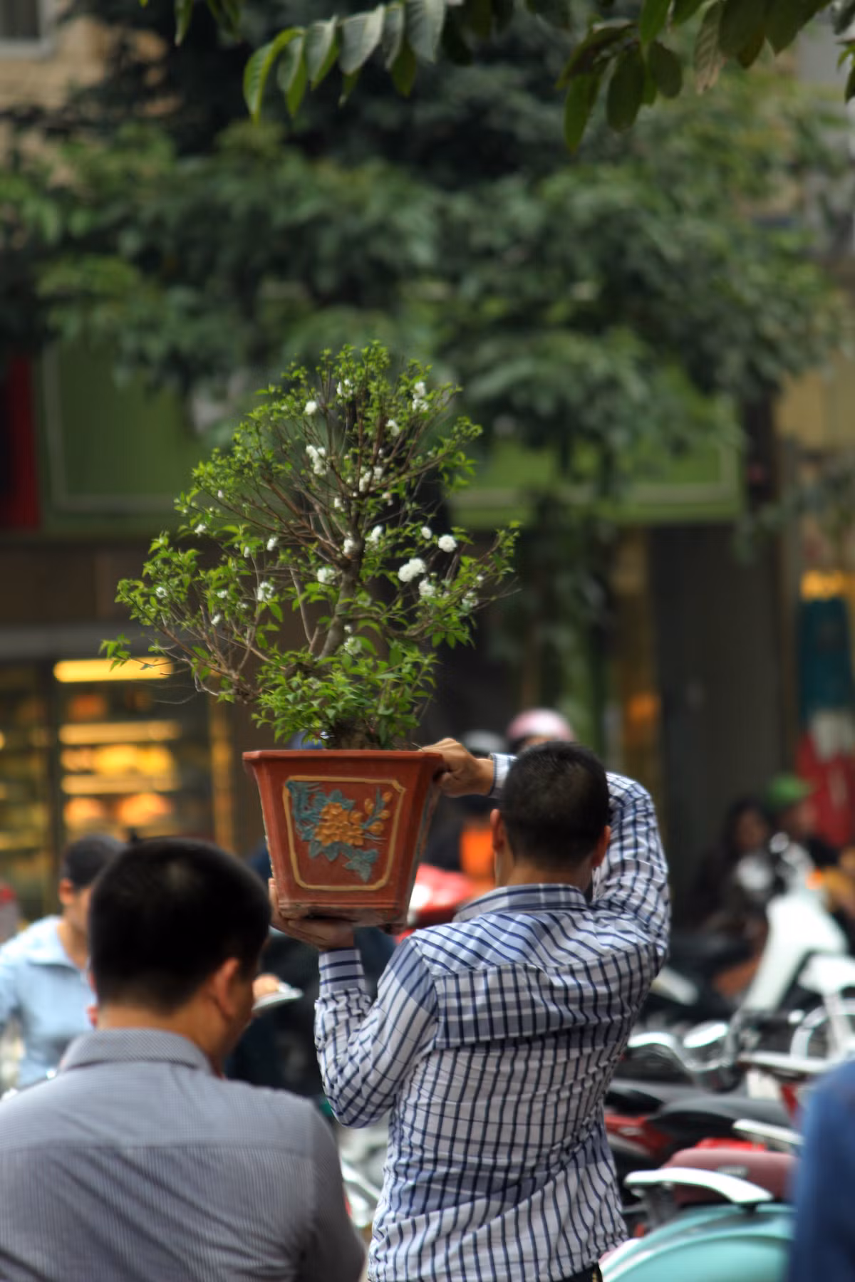 Nhanh chân mang hoa về nhà.