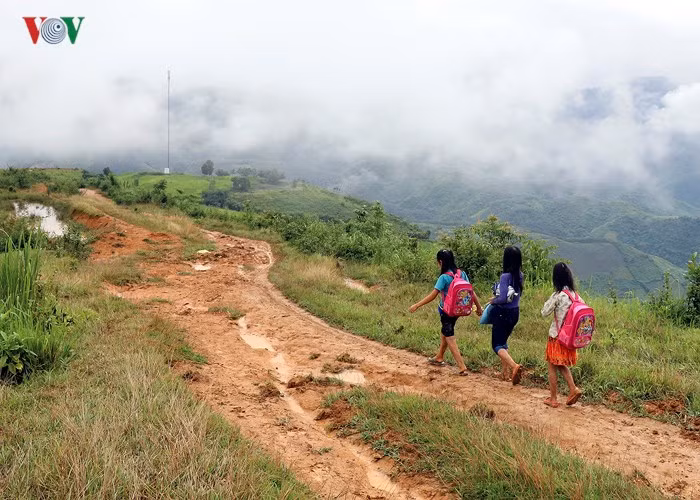 Van con canh hoc sinh chui tui nilon vuot suoi lu toi truong-Hinh-20