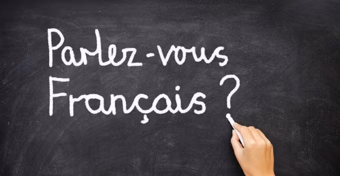 Châu Phi có số người nói tiếng Pháp nhiều hơn cả ở nước Pháp. Đây là một trong những sự thật bất ngờ về Châu Phi.