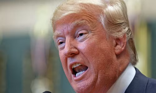 Diem lai phat ngon hai va soc nhat cua ty phu Trump-Hinh-8