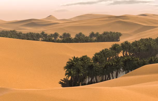Saudi Arabia là vùng đất không hề có sông. Hầu hết nguồn nước ngọt của Saudi Arabia đến từ các nhà máy khử muối hoặc các hồ chứa dưới lòng đất.