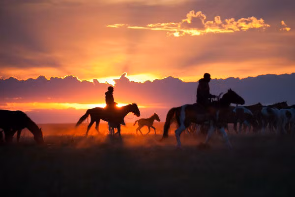 Bức ảnh chụp tại Pavlodar, Kazakhstan, là tác phẩm dự thi của Ryan Bell.