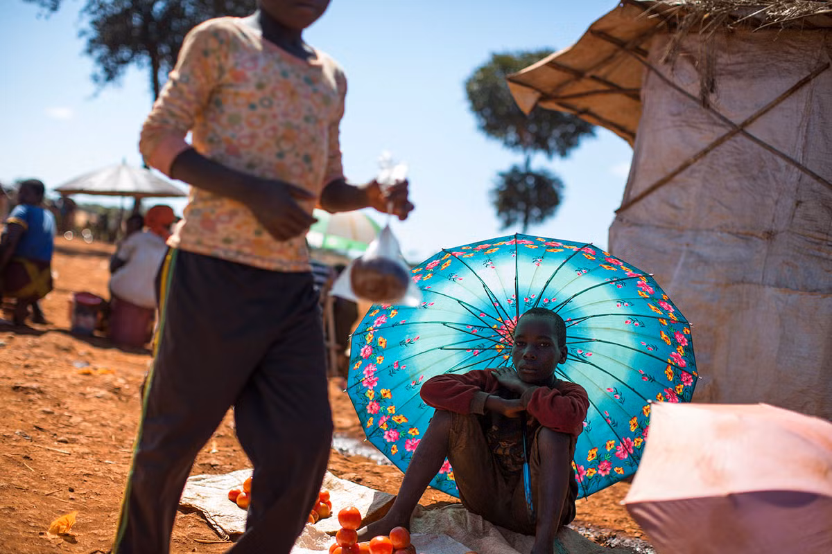 UNHCR cho biết họ đang có kế hoạch để đưa ra nguồn nhiên liệu thay thế trong khu trại này.