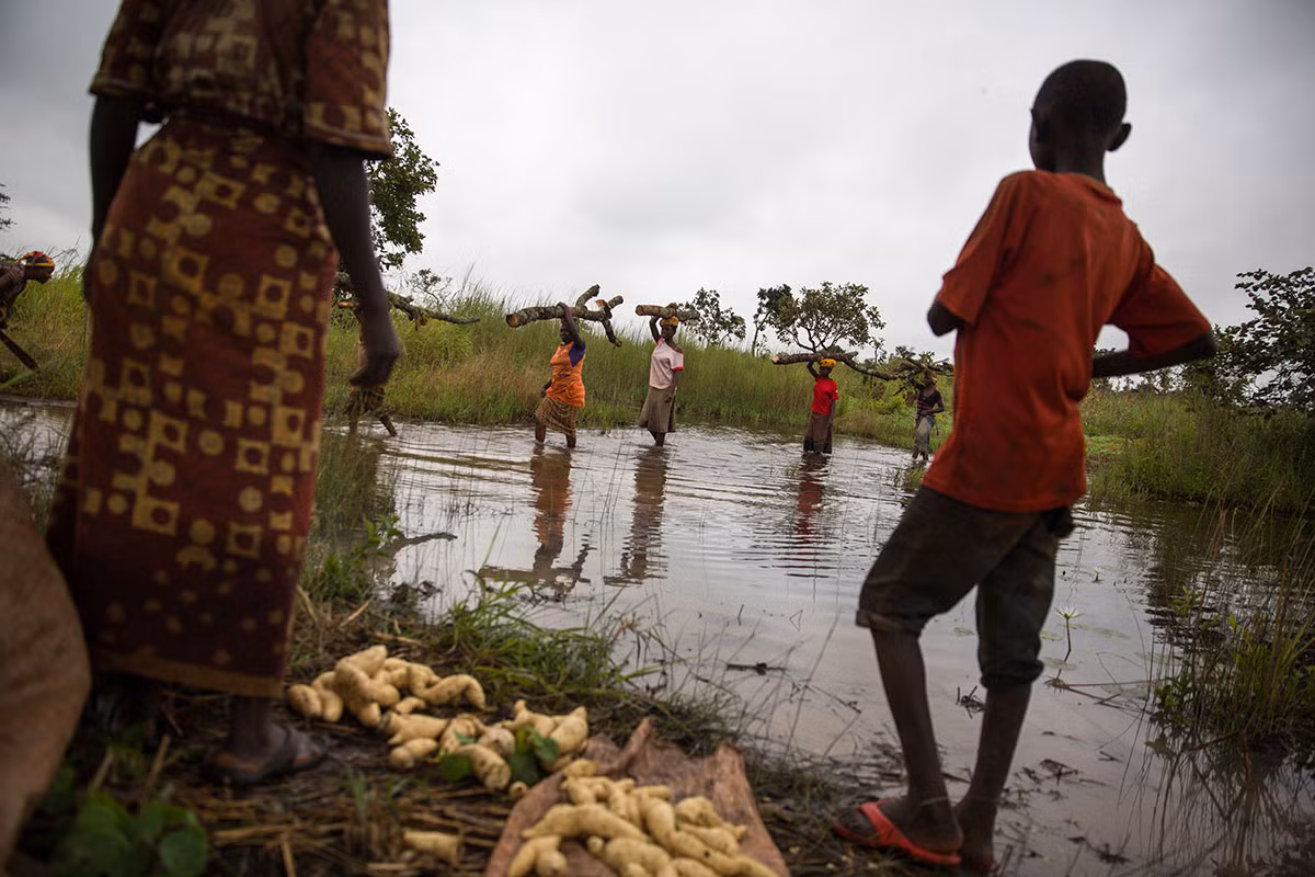 Những người phụ nữ Burundi vác củi trở về sau hành trình dài nhiều tiếng đồng hồ.