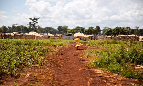 Trại tị nạn Nyarugusu ở Tanzania được xây dựng với mục đích tiếp nhận khoảng 50 nghìn người tị nạn.