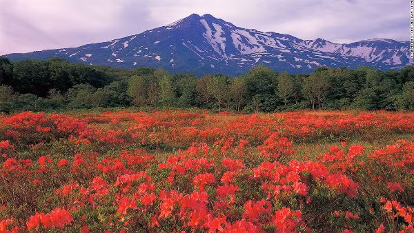 Núi Chokai nằm giữa tỉnh Akita và Yamagata.