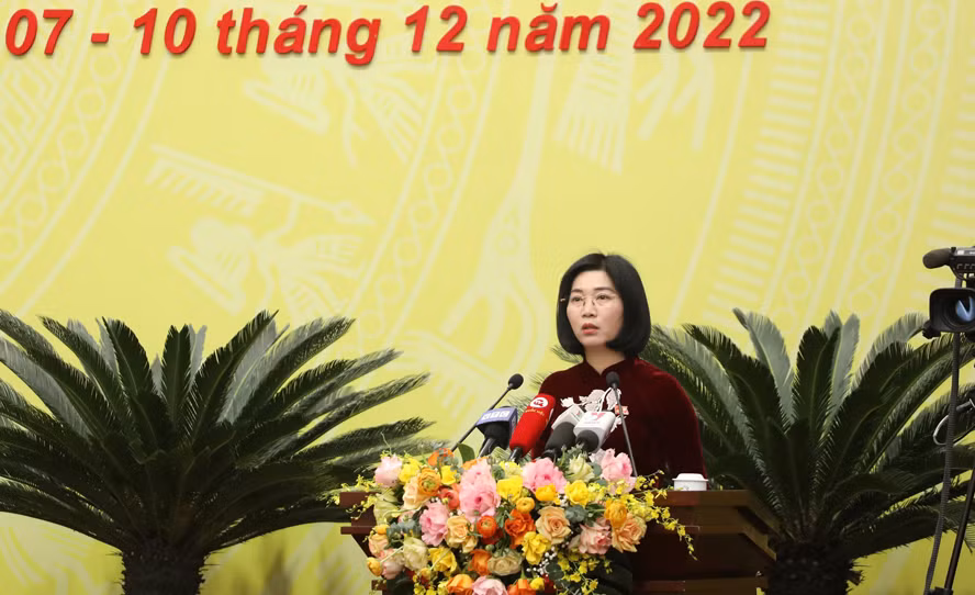 Toan canh khai mac ky hop thu X HDND thanh pho Ha Noi khoa XVI-Hinh-9