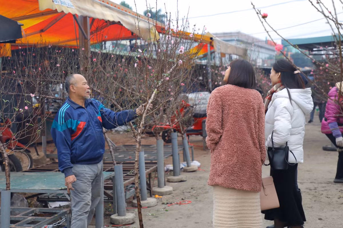 Theo các tiểu thương, giá đào Tết năm nay cao hơn năm ngoái. Giá cành đào nhỏ dao động 100 nghìn đến 300 nghìn đồng/cành; cành đào to dao động từ 700 nghìn đến vài triệu đồng tuỳ vào độ đẹp, thế cành, lượng hoa… 