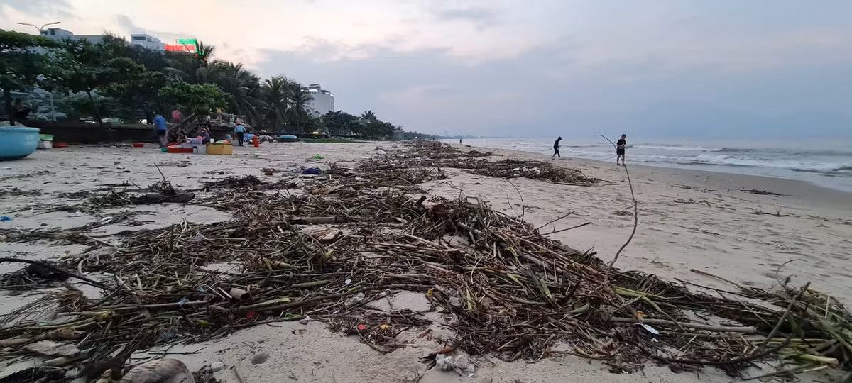Nhiều đợt mưa lớn liên tiếp vào giữa tháng 10 khiến nước biển dâng cao. Thêm vào đó, nước từ đất liền đổ ra mang theo đủ loại rác.