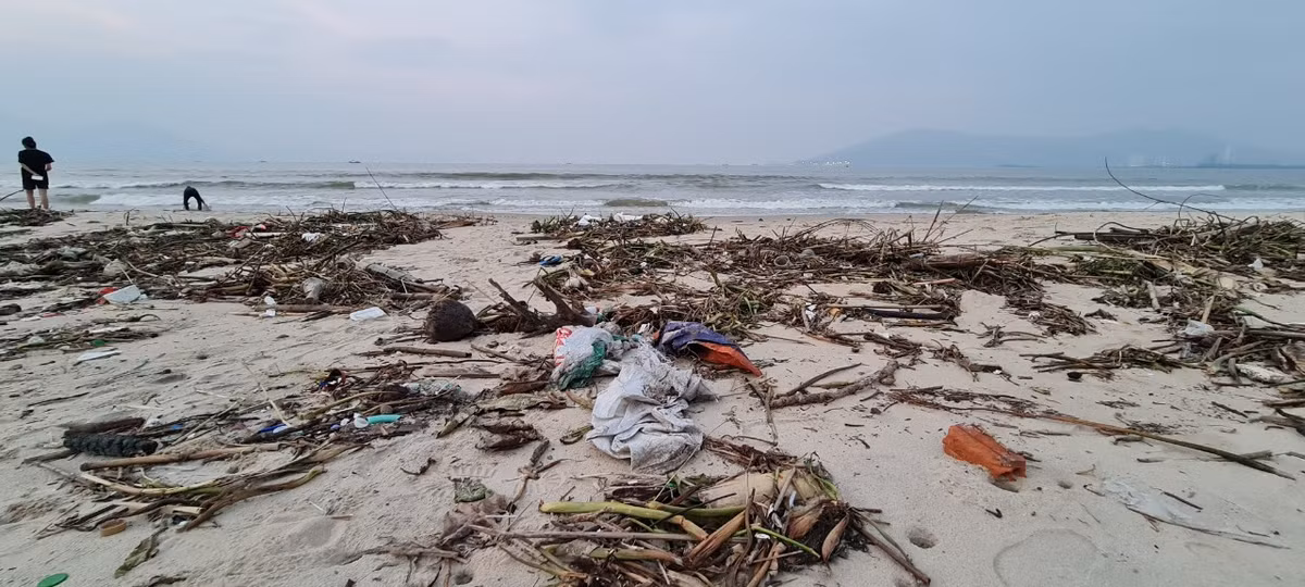 Những ngày qua, lực lượng chức năng đã huy động người và phương tiện thu gom rác dạt vào bãi biển.