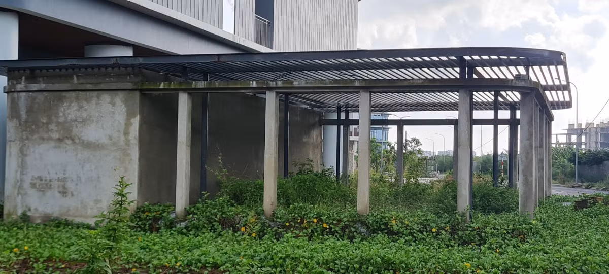 Cỏ dại bắt đầu ngập lối tại Khu công viên phần mềm nghìn tỷ "chưa biết ngày hoạt động". >>> Mời độc giả xem thêm video Bí ẩn ngôi biệt thự bỏ hoang, bên trong là kho đồ hiệu trăm tỉ: 