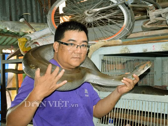Khám phá ổ trăn biến đổi gen đáng sợ ở Đất Mũi - Hình 2 Kham pha o tran bien doi gen dang so o Dat Mui-Hinh-2