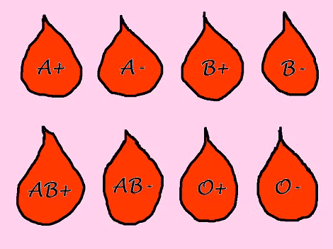 9 bí ẩn về thế giới khiến các nhà khoa học bó tay - Hình 7 9 bi an ve the gioi khien cac nha khoa hoc bo tay-Hinh-7