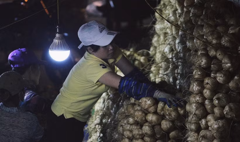 Trời càng về đêm, nhiệt độ giảm và có mưa, nhưng dường như công việc nhọc nhằn đã khiến những người phụ nữ này quên mất đi cảm giác lạnh.