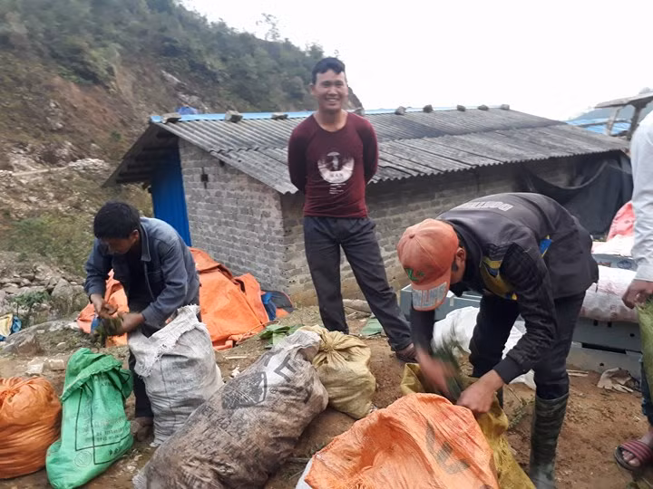 Rau dớn được bà con vùng cao hái tư rừng về đóng thành từng bao tải, bán cho thương lái Trung Quốc kiếm thêm thu nhập