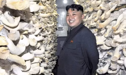 Anh “doc” ve nha lanh dao Trieu Tien Kim Jong-un (3)-Hinh-7