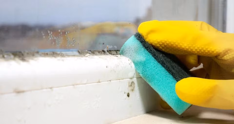 Chuyên gia cũng khuyên mọi người giữ cho ngôi nhà khô ráo và thông thoáng để tránh nấm mốc.