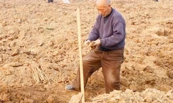Câu chuyện này nhấn mạnh tầm quan trọng của việc báo cáo cho các chuyên gia khi tìm thấy các di vật cổ xưa hoặc các đồ vật có giá trị lịch sử. Chỉ khi chúng được xác định chính xác, chúng ta mới có thể bảo tồn và tôn trọng giá trị của chúng.