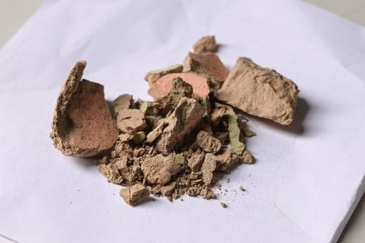 Những vi sinh vật làm tổn hại tới các bức tượng.