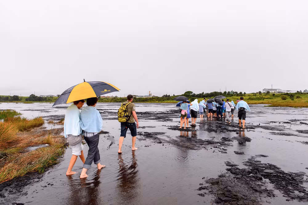 Hồ Pitch còn có sự kỳ dị khác: nó "ăn thịt" nhiều loài động vật mỗi năm. Những sinh vật nào bước vào hồ này, dù lớn hay nhỏ, đều mắc kẹt trong nhựa đường nhớt và dần dần chết.