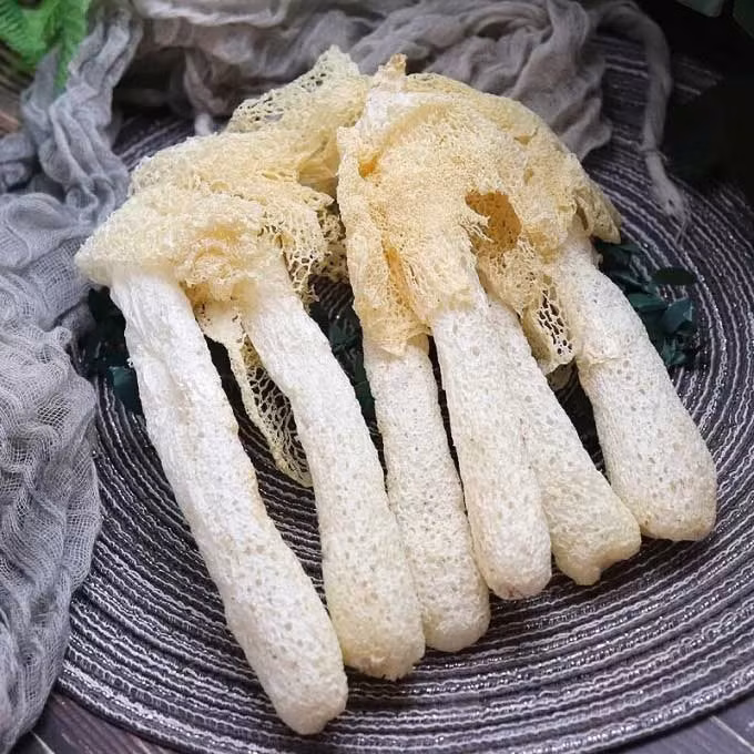 Nấm Tâm Trúc được mô tả có vị thơm, cùi dày, và có thể sử dụng trong nhiều loại món ăn khác nhau, thậm chí thay thế thịt trong một số trường hợp. Nó còn có nhiều lợi ích cho sức khỏe, bao gồm việc giảm mỡ bụng, hạ huyết áp, hạ lipid máu và hỗ trợ phòng ngừa ung thư.