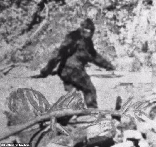 Mặc dù đã có nhiều báo cáo về việc nhìn thấy hoặc chụp hình Bigfoot, nhưng không có bằng chứng chính thống nào xác nhận sự tồn tại của nó.