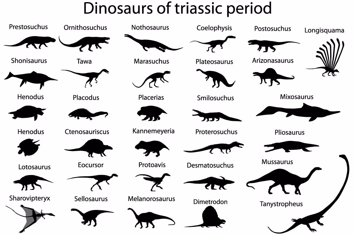 Trong kỷ Triassic, khủng long có kích thước bằng một con chó và chúng ăn tạp, thậm chí ăn lá cây và bọ cánh cứng.