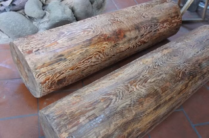 Gỗ thủy tùng có giá trị cao, thơm và không bị mối mọt, nứt nẻ, cong vênh. Gỗ thủy tùng có nhiều ứng dụng, chẳng hạn như làm mũ, nút chai, phích, phao cứu sinh và nhiều sản phẩm khác.