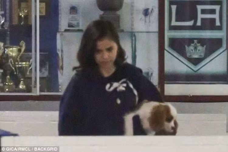 Selena thường xuyên đến theo dõi Justin chơi khúc côn cầu mỗi tuần. Trong trận thi đấu của bạn trai ngày 15/11, cô diện trang phục khá giản dị và dẫn theo chú cún cưng.