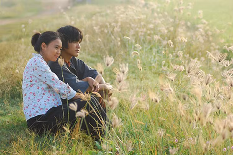 Vai Nương trong “Cánh đồng bất tận” giúp Lan Ngọc đoạt loạt giải thưởng: Nữ diễn viên điện ảnh được yêu thích nhất tại Mai Vàng lần thứ 16, Nữ diễn viên chính xuất sắc nhất giải Bông sen vàng, Nữ diễn viên chính xuất sắc tại Cánh diều vàng 2010. Ảnh: Người Lao Động