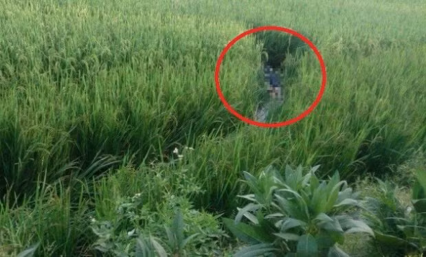 Giang day dien de bay chuot, nguoi dan ong chet tham giua dong