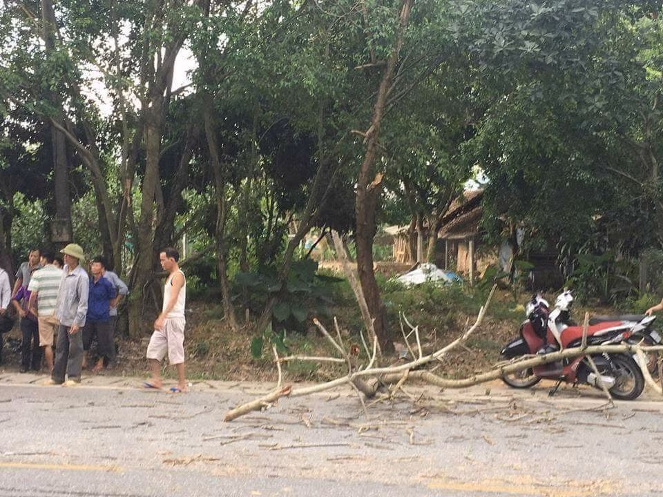Xot xa doi nam nu sap cuoi thuong vong vi canh cay roi trung-Hinh-2