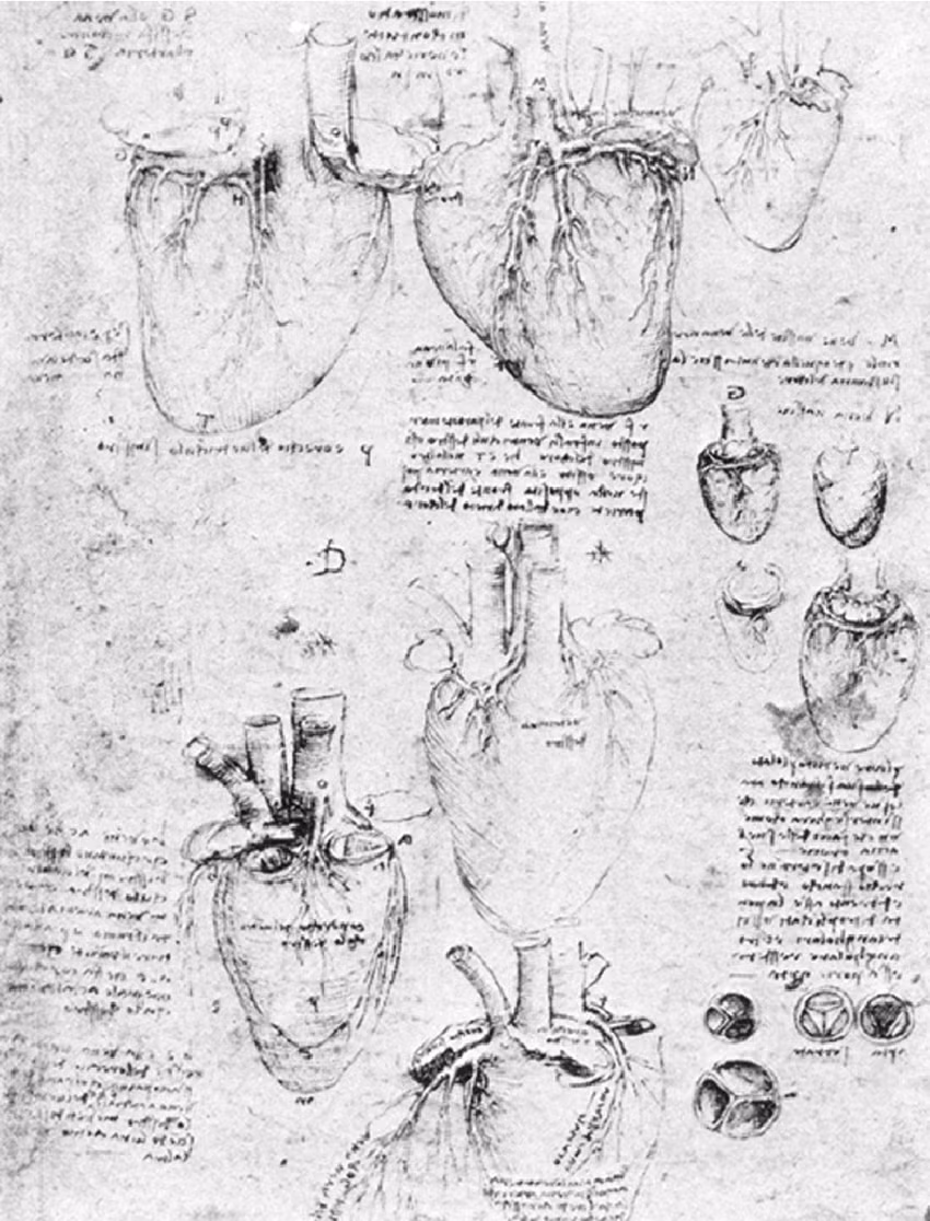 Các nhà khoa học đã sử dụng giả thuyết phân dạng, MRI và máy tính để làm sáng tỏ các cấu trúc này và phát hiện rằng chúng có liên quan đến nguy cơ mắc các bệnh tim mạch.
