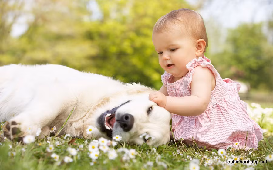 Hình ảnh em bé chơi đùa với chú chó của mình nhẹ nhàng, bình yên.