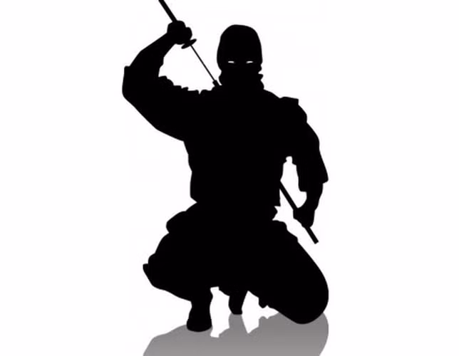 Do Ninja chủ yếu thực hiện các nhiệm vụ gián điệp, trinh sát, thậm chí là ám sát nên họ tuyệt đối không được tiết lộ nhiệm vụ với bất cứ ai kể cả đó là người thân cận, tin tưởng nhất.