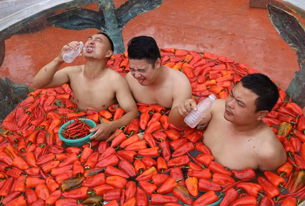 Kỉ lục hiện nay của cuộc thi ăn ớt là 15 quả ớt tươi trong vòng 60 giây.