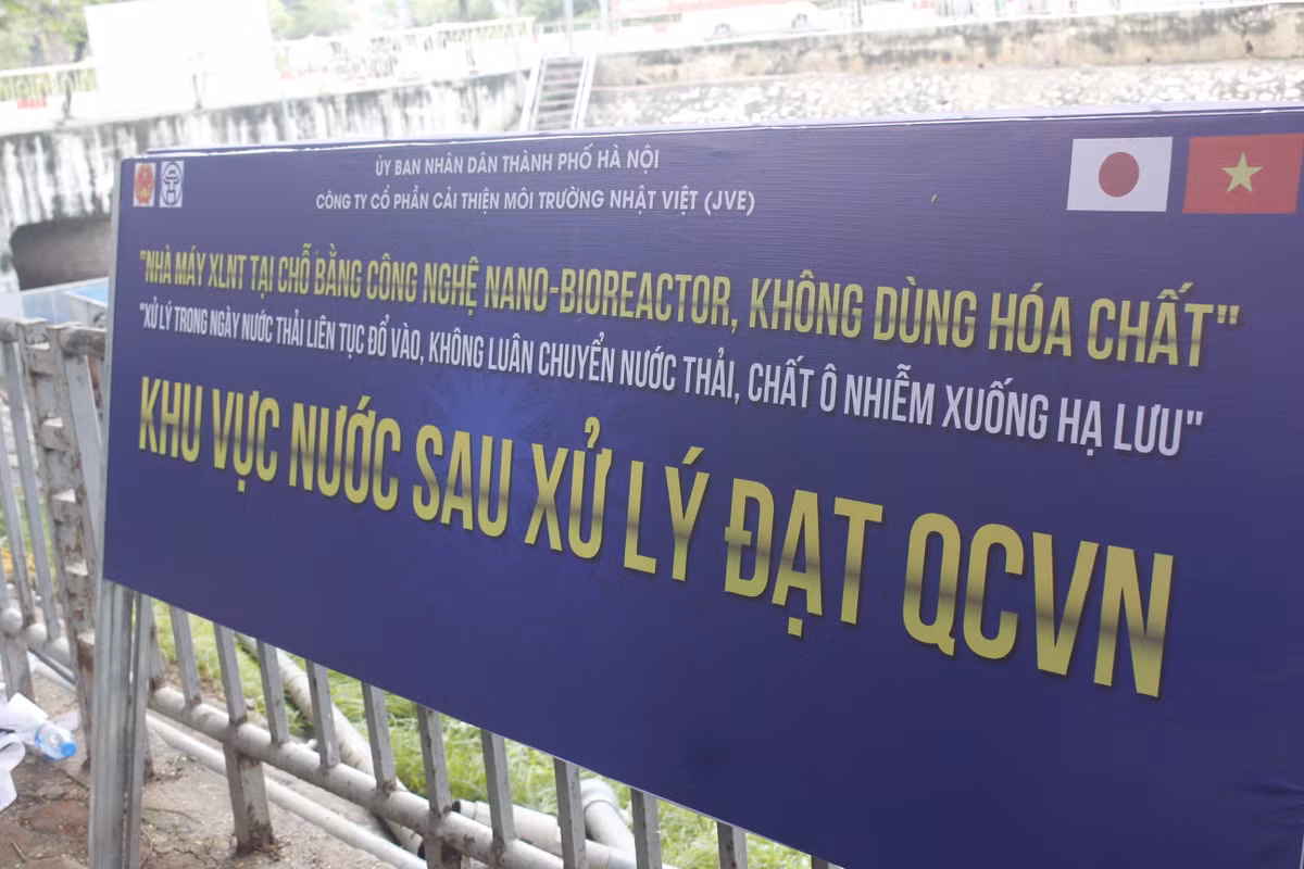 Chuyen gia Nhat 